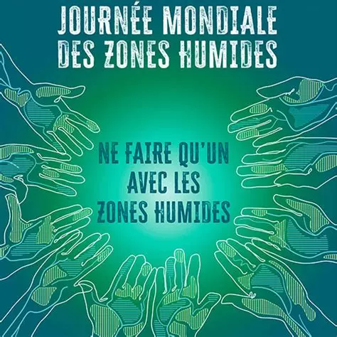 Inventaire nocturne des amphibiens